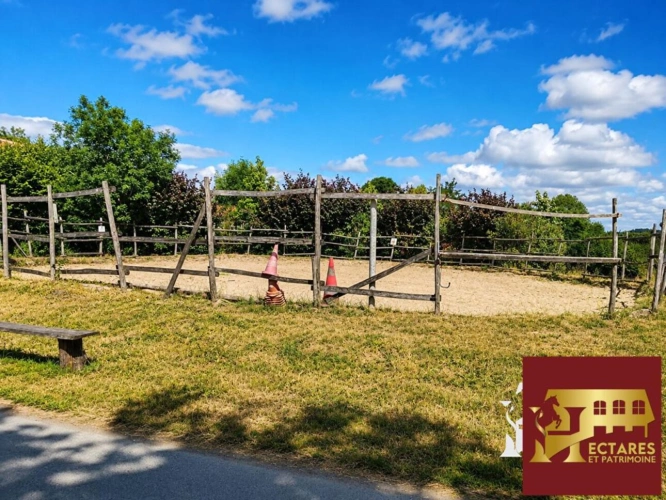Photos 4 - Equestrian - Fonds de commerce de centre équestre / poney-club à taille humaine