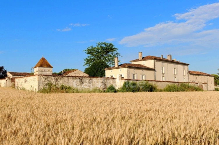 Photos 2 - Prestige - Propriete à vendre 8 pièces COGNAC (16)