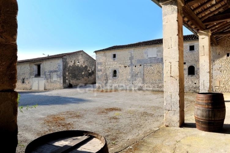 Photos 6 - Prestige - Propriete à vendre 8 pièces COGNAC (16)