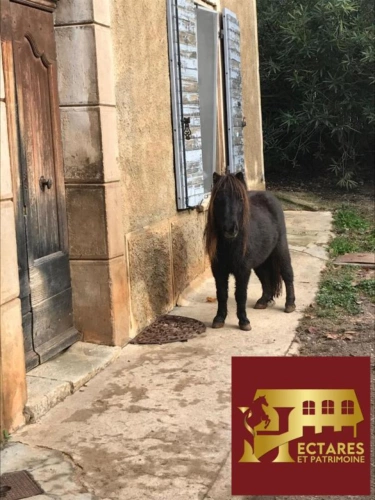 Photos 16 - Équestre - Propriété équestre clef en main sur 3ha . Secteur VAR EST