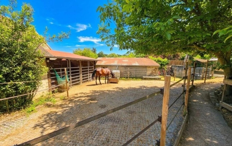 Photos 3 - Équestre - NOUVEAUTE MAISON DE CARACTERE AVEC INSTALLATIONS EQUESTRES