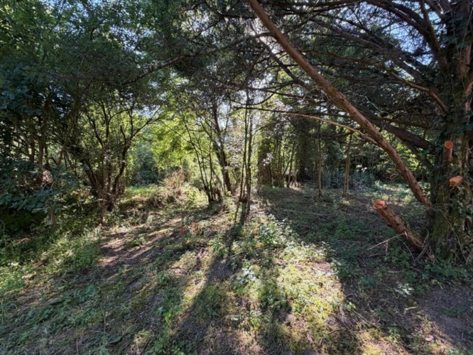 Photos 16 - Rurale - PLAISANCE du GERS proche(32): ANCIENNE PROPRIETE BOURGEOISE avec dépendances, bois, petit etang, 2 hectares,CALME, sans vis à vis