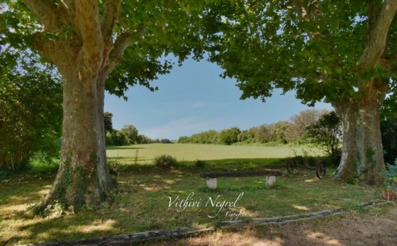 Photos 3 - Prestige - Propriété à vendre 8 pièces et annexe  MOURIES (13)