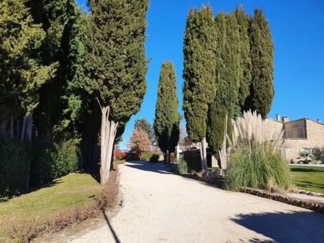 Photos 2 - Prestige - Propriété de caractère avec piscine et gîtes – Art de vivre en Provence
