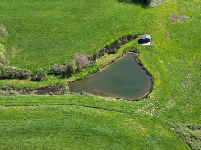 Photos 14 - Équestre - Petite propriété rurale  avec maison, studio et piscine   se