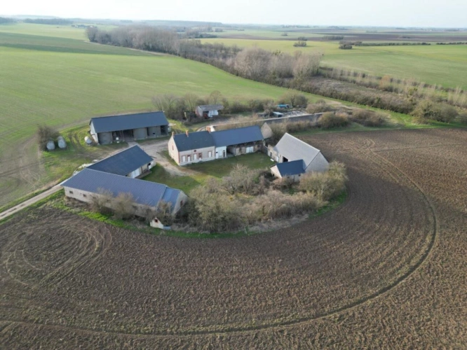 Photos 3 - Rural - Exploitation agricole de 149 ha dont 18 ha libres avec corps