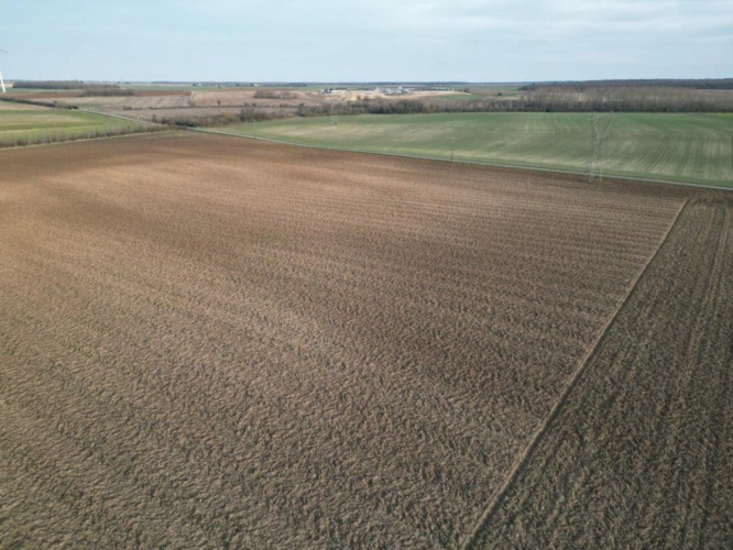 Photos 16 - Rural - Exploitation agricole de 149 ha dont 18 ha libres avec corps