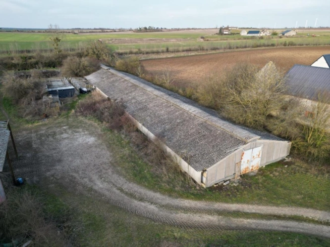 Photos 17 - Rural - Exploitation agricole de 149 ha dont 18 ha libres avec corps