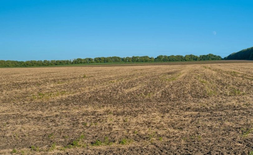 Photos 1 - Agricultural - 300 hectares de terres agricoles louées   Placement patrimon
