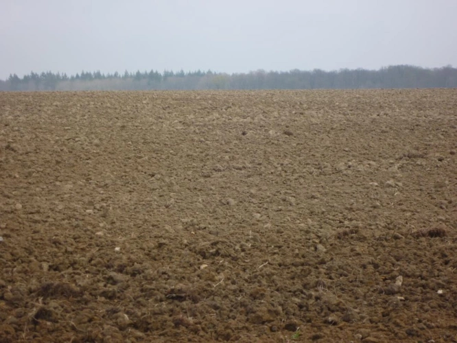 Photos 1 - Agricole - 112 hectares de terres agricoles occupées   Placement patrim
