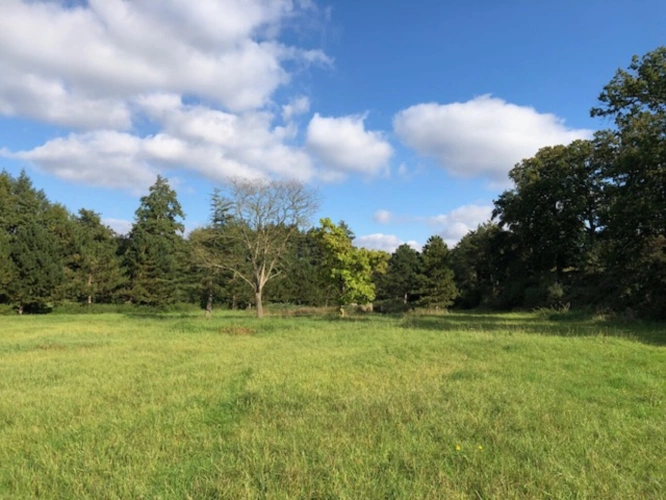 Photos 15 - Prestige - Exceptionnel domaine en bord de rivière sur plus d'un hectar