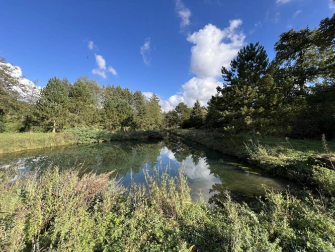 Photos 17 - Prestige - Exceptionnel domaine en bord de rivière sur plus d'un hectar