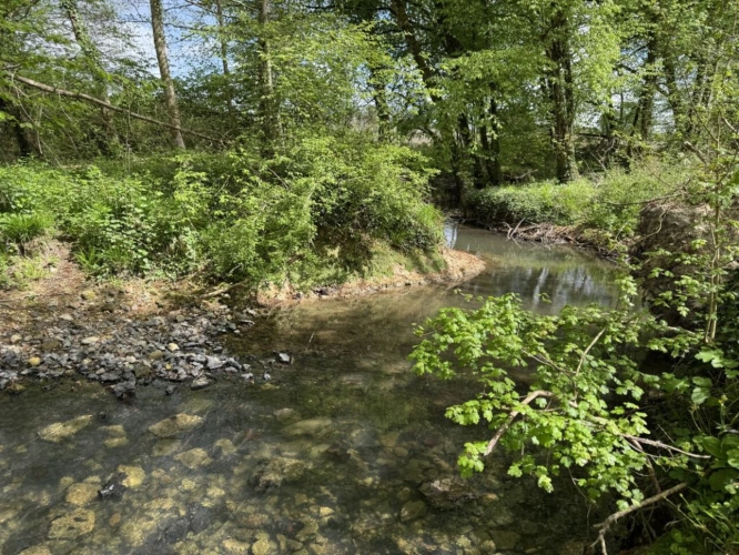 Photos 4 - Prestige - Domaine rural groupé sur 46 hectares en Touraine