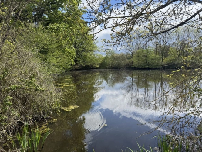 Photos 7 - Prestige - Domaine rural groupé sur 46 hectares en Touraine