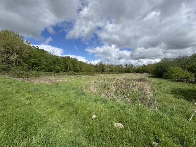 Photos 9 - Prestige - Domaine rural groupé sur 46 hectares en Touraine