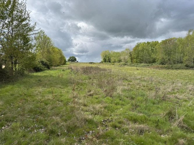 Photos 10 - Prestige - Domaine rural groupé sur 46 hectares en Touraine