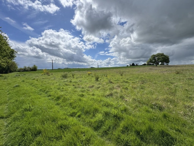 Photos 12 - Prestige - Domaine rural groupé sur 46 hectares en Touraine