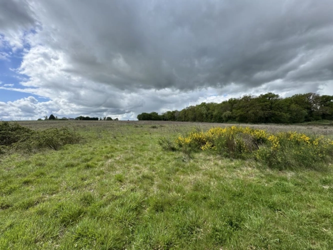 Photos 13 - Prestige - Domaine rural groupé sur 46 hectares en Touraine