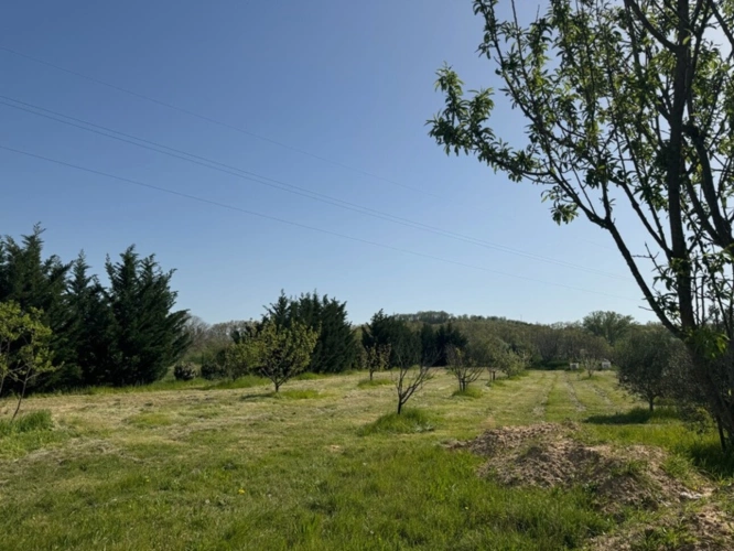 Photos 1 - Rurale - Terrain de loisirs de 2600m² à vendre à COLLIAS (30) - Environnement naturel privilégié