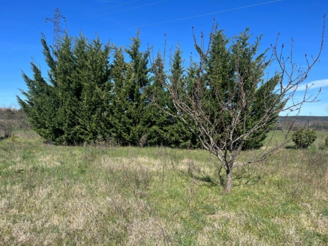 Photos 2 - Rurale - Terrain de loisirs de 2600m² à vendre à COLLIAS (30) - Environnement naturel privilégié