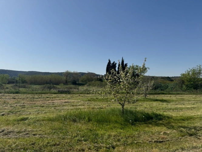 Photos 7 - Rurale - Terrain de loisirs de 2600m² à vendre à COLLIAS (30) - Environnement naturel privilégié