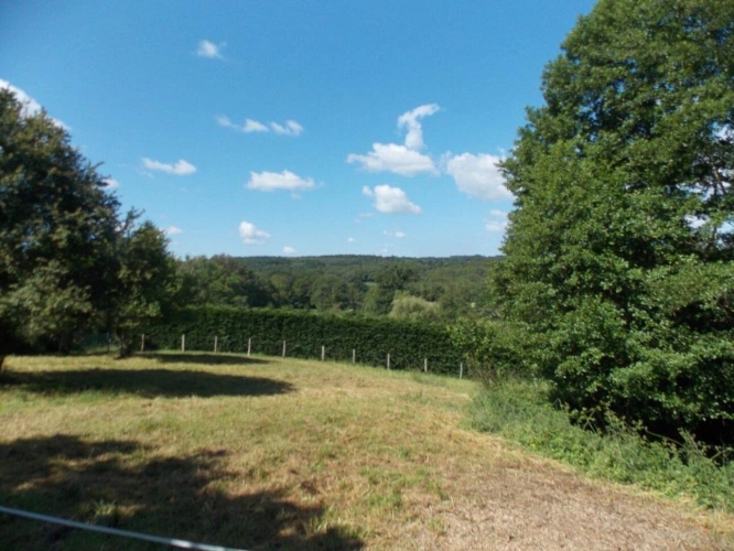 Photos 17 - Rurale - Rare opportunité d'acheter une maison individuelle avec 1 hectare de terrain attenant et un étang
