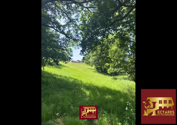 Photos 6 - Touristique - DOMAINE DE CARACTÈRE ET ACTIVITÉ TOURISTIQUE AU COEUR DU HAUT-QUERCY
