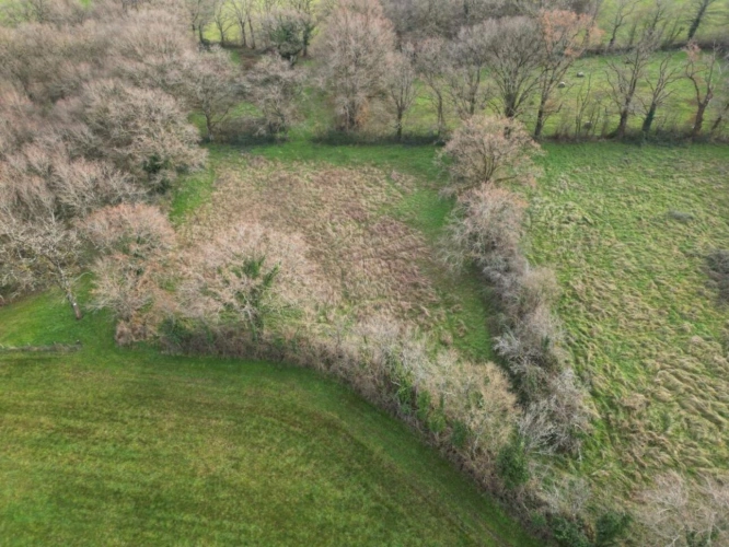 Photos 4 - Agricole - Prairie naturelle dans l'INDRE
