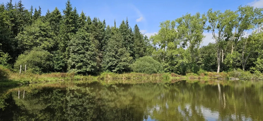 Photos 1 - Forestière - Nantes : Un Domaine entre Eau, Forêt et Agriculture