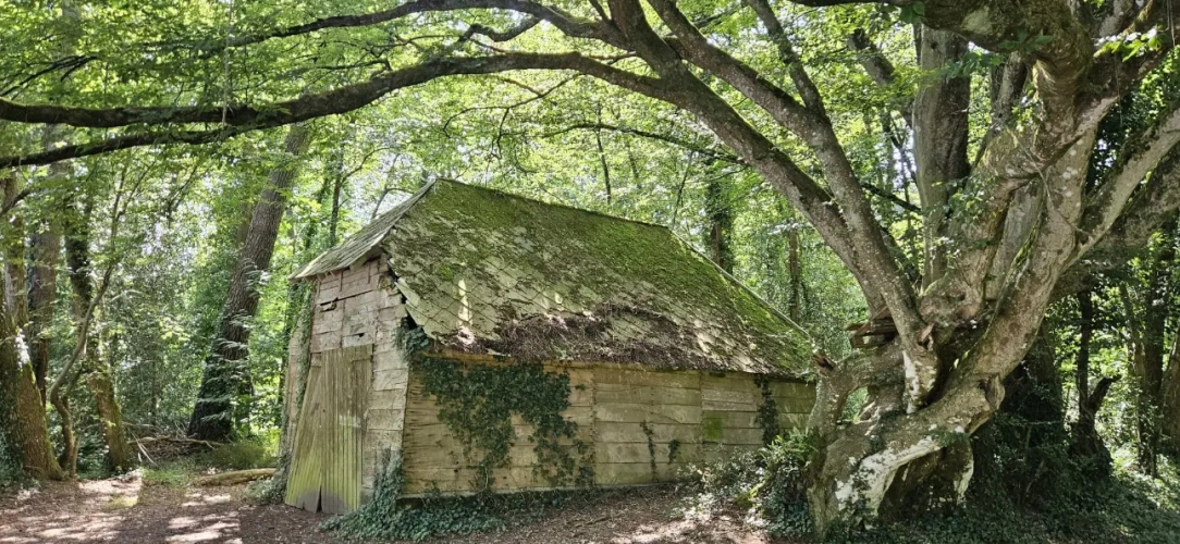 Photos 2 - Forestière - Nantes : Un Domaine entre Eau, Forêt et Agriculture