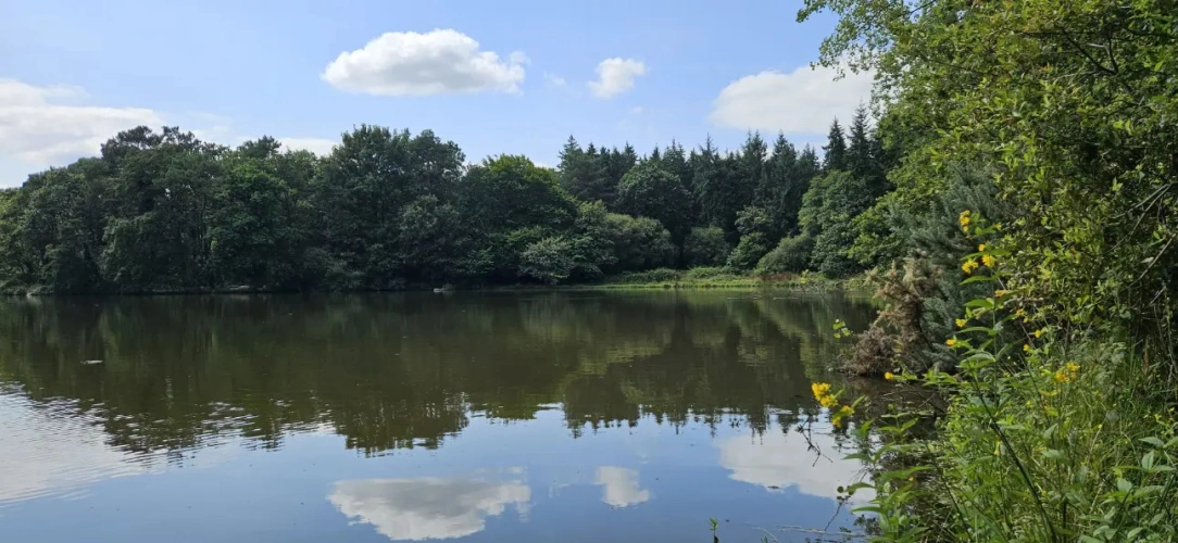 Photos 3 - Forestière - Nantes : Un Domaine entre Eau, Forêt et Agriculture