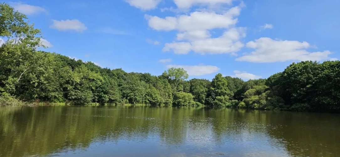 Photos 4 - Forestière - Nantes : Un Domaine entre Eau, Forêt et Agriculture