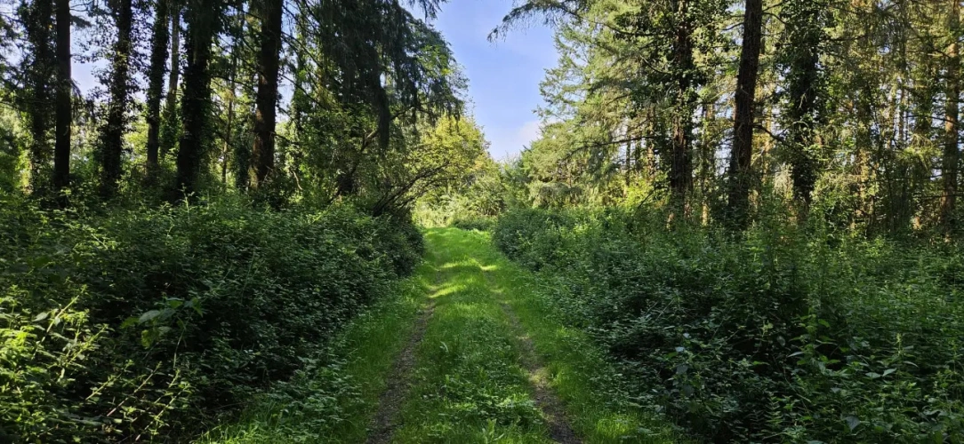 Photos 5 - Forestière - Nantes : Un Domaine entre Eau, Forêt et Agriculture