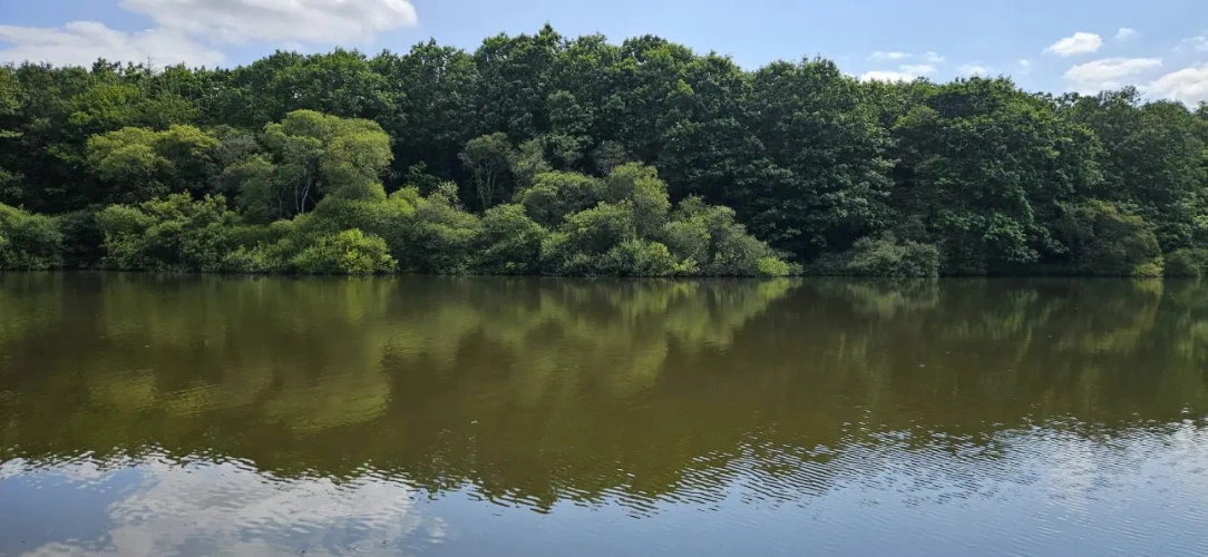 Photos 7 - Forestière - Nantes : Un Domaine entre Eau, Forêt et Agriculture