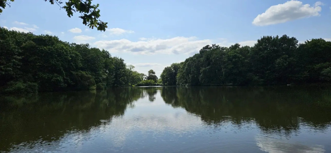 Photos 9 - Forestière - Nantes : Un Domaine entre Eau, Forêt et Agriculture