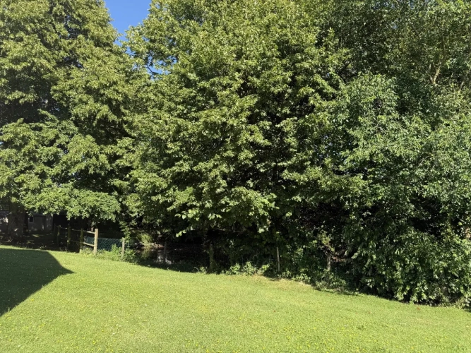 Photos 16 - Prestige - Propriété de préstige à La Houssaye-en-Brie.