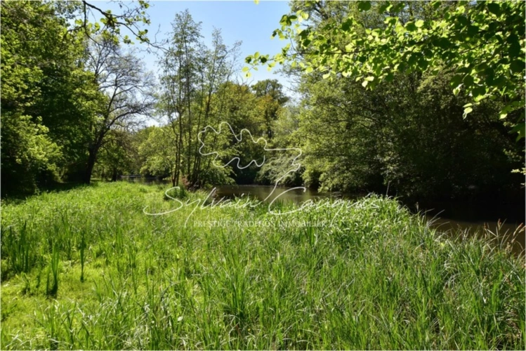 Photos 5 - Forestière - Propriété de Chasse ou d'Agrément de 40 hectares en Sologne