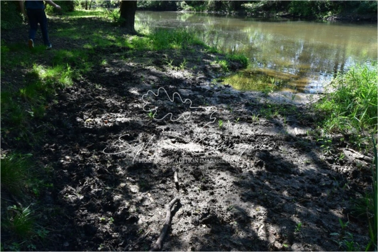 Photos 6 - Forestière - Propriété de Chasse ou d'Agrément de 40 hectares en Sologne