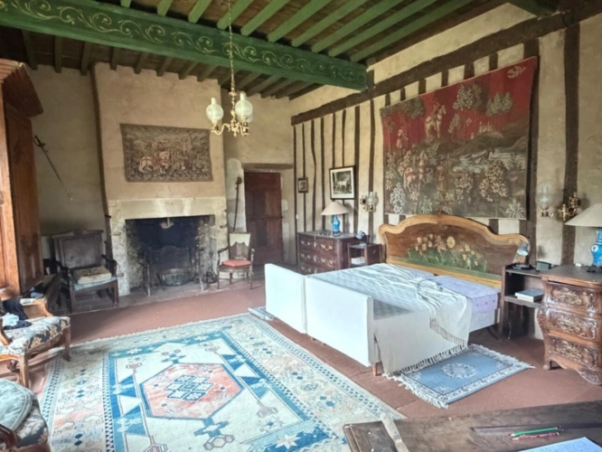 Photos 3 - Prestige - MARCIAC(32): ancienne SEIGNEURIE avec BEAU CHATEAU XIV sur 3,5ha, cachée, au bout du chemin, sans voisin, en campagne, 500m2 habitables, piscine chauffée, découvrez les riches heures des seigneurs