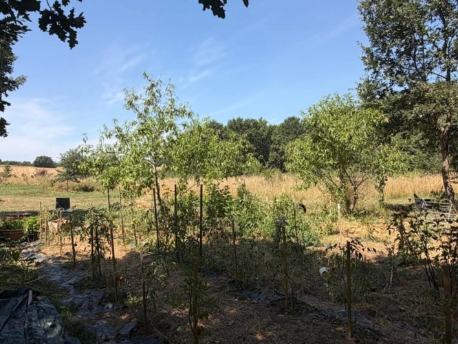 Photos 7 - Prestige - MARCIAC(32): ancienne SEIGNEURIE avec BEAU CHATEAU XIV sur 3,5ha, cachée, au bout du chemin, sans voisin, en campagne, 500m2 habitables, piscine chauffée, découvrez les riches heures des seigneurs