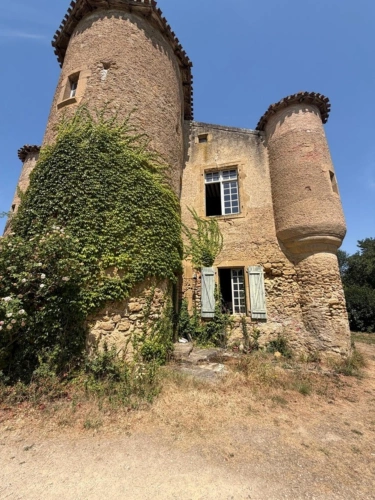 Photos 9 - Prestige - MARCIAC(32): ancienne SEIGNEURIE avec BEAU CHATEAU XIV sur 3,5ha, cachée, au bout du chemin, sans voisin, en campagne, 500m2 habitables, piscine chauffée, découvrez les riches heures des seigneurs