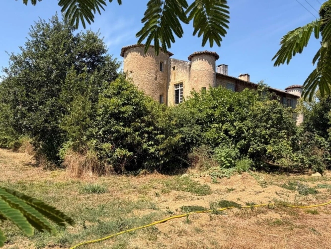 Photos 11 - Prestige - MARCIAC(32): ancienne SEIGNEURIE avec BEAU CHATEAU XIV sur 3,5ha, cachée, au bout du chemin, sans voisin, en campagne, 500m2 habitables, piscine chauffée, découvrez les riches heures des seigneurs