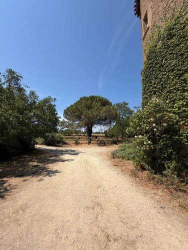 Photos 12 - Prestige - MARCIAC(32): ancienne SEIGNEURIE avec BEAU CHATEAU XIV sur 3,5ha, cachée, au bout du chemin, sans voisin, en campagne, 500m2 habitables, piscine chauffée, découvrez les riches heures des seigneurs