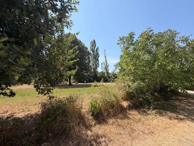 Photos 13 - Prestige - MARCIAC(32): ancienne SEIGNEURIE avec BEAU CHATEAU XIV sur 3,5ha, cachée, au bout du chemin, sans voisin, en campagne, 500m2 habitables, piscine chauffée, découvrez les riches heures des seigneurs