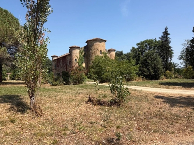Photos 14 - Prestige - MARCIAC(32): ancienne SEIGNEURIE avec BEAU CHATEAU XIV sur 3,5ha, cachée, au bout du chemin, sans voisin, en campagne, 500m2 habitables, piscine chauffée, découvrez les riches heures des seigneurs