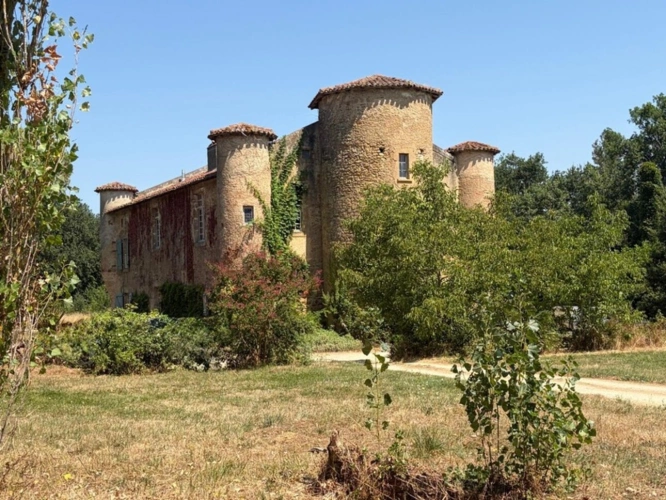 Photos 15 - Prestige - MARCIAC(32): ancienne SEIGNEURIE avec BEAU CHATEAU XIV sur 3,5ha, cachée, au bout du chemin, sans voisin, en campagne, 500m2 habitables, piscine chauffée, découvrez les riches heures des seigneurs