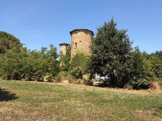 Photos 16 - Prestige - MARCIAC(32): ancienne SEIGNEURIE avec BEAU CHATEAU XIV sur 3,5ha, cachée, au bout du chemin, sans voisin, en campagne, 500m2 habitables, piscine chauffée, découvrez les riches heures des seigneurs