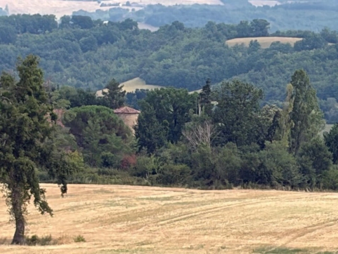 Photos 18 - Prestige - MARCIAC(32): ancienne SEIGNEURIE avec BEAU CHATEAU XIV sur 3,5ha, cachée, au bout du chemin, sans voisin, en campagne, 500m2 habitables, piscine chauffée, découvrez les riches heures des seigneurs