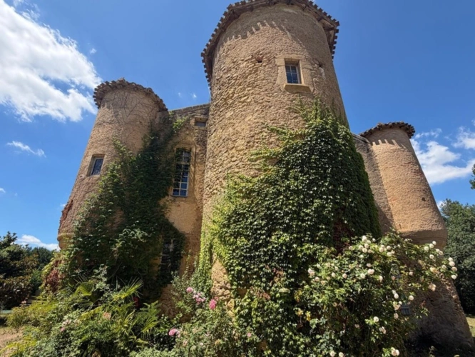 Photos 19 - Prestige - MARCIAC(32): ancienne SEIGNEURIE avec BEAU CHATEAU XIV sur 3,5ha, cachée, au bout du chemin, sans voisin, en campagne, 500m2 habitables, piscine chauffée, découvrez les riches heures des seigneurs