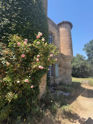 Photos 25 - Prestige - MARCIAC(32): ancienne SEIGNEURIE avec BEAU CHATEAU XIV sur 3,5ha, cachée, au bout du chemin, sans voisin, en campagne, 500m2 habitables, piscine chauffée, découvrez les riches heures des seigneurs